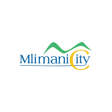 Mlimani City